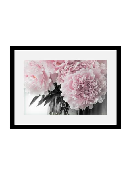 Ingelijste digitale print Pink Flowers, Afbeelding: digitale print, Lijst: hout, Afbeelding: rozetinten, wit, donkergroen. Lijst: zwart, 40 x 30 cm