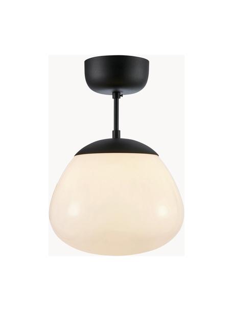 Lampada da soffitto Rise, Paralume: vetro, Baldacchino: acciaio verniciato, Bianco crema, nero, Ø 25 x Alt. 35 cm