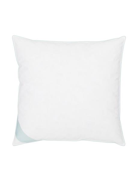 Cuscino medio a 3 strati Premium, Esterno: 90% piuma d'oca, 10% pium, Interno: piume nuove bianche, clas, Bianco con fascia di stoffa in raso turchese, Larg. 80 x Lung. 80 cm