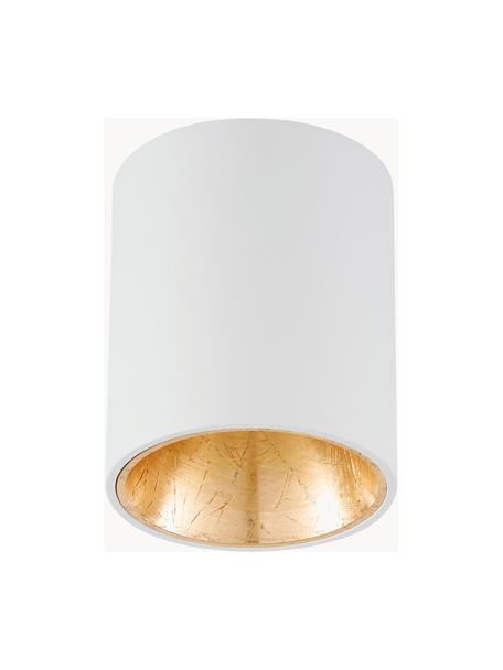 LED plafondspot Marty, Wit, goudkleurig, Ø 10 x H 12 cm