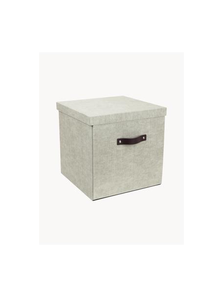 Caja Logan, Caja: canvas, cartón macizo, Asa: cuero, Beige claro, An 32 x F 32 cm