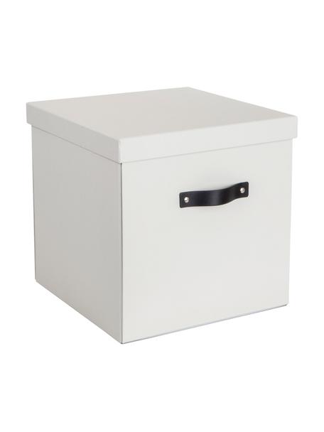 Aufbewahrungsbox Logan, Box: fester, laminierter Karto, Griff: Leder, Greige, B 32 x H 31 cm