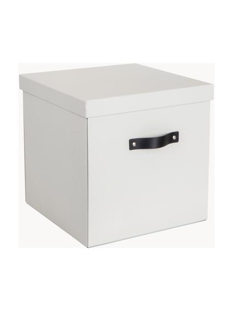 Úložný box Logan, Bílá, Š 32 cm, H 32 cm