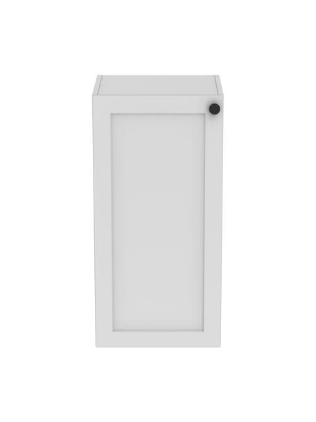 Badkamer wandkast Rafaella, B 40 cm, Lichtgrijs, B 40 x H 85 cm