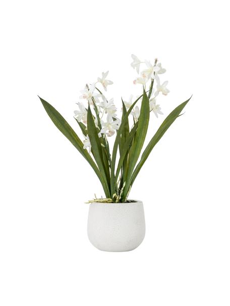 Handgefertigte Kunstblume Orchid mit Übertopf, Übertopf: Keramik, Grün, Weiss, Ø 19 x H 41 cm