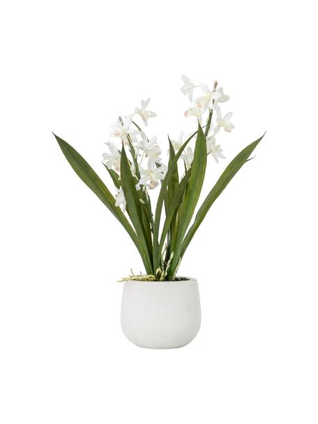 Ręcznie wykonany dekoracyjny kwiat w doniczce Orchid, Zielony, biały, Ø 19 x W 41 cm