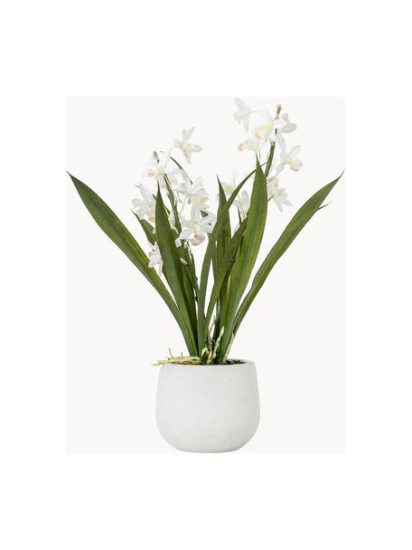 Handgefertigte Kunstblume Orchid mit Übertopf, Übertopf: Keramik, Grün, Weiß, L 41 cm