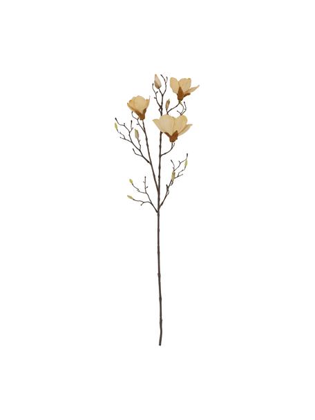 Květinová dekorace Magnolia, Umělá hmota (PVC), ocelový drát, Béžová, hnědá, D 85 cm