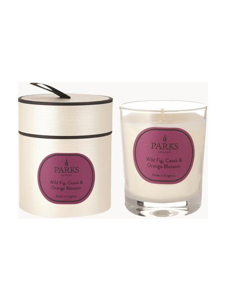 Vonná sviečka Aromatherapy (figa, ríbezľa & pomaranč), Figa, čierna ríbezľa a pomaranč, Ø 8 x V 9 cm