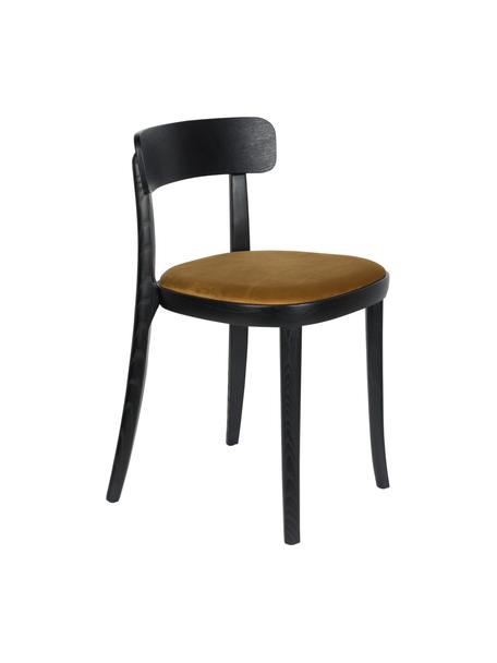 Krzesło z drewna i z siedziskiem z aksamitu Brandon, Tapicerka: 100% aksamit poliestrowy , Żółty, S 46 x G 45 cm
