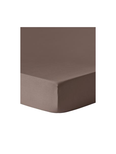 Sábana bajera cubrecolchón de satén Comfort, Marrón, Cama 90 cm (90 x 200 cm)