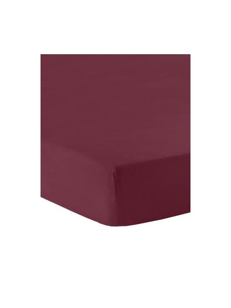 Lenzuolo con angoli topper in flanella Biba, Rosso scuro, Larg. 90 x Lung. 200 cm, alt. 15 cm