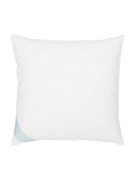Cuscino duro Comfort, Bianco con fascia di stoffa in raso turchese, Larg. 80 x Lung. 80 cm