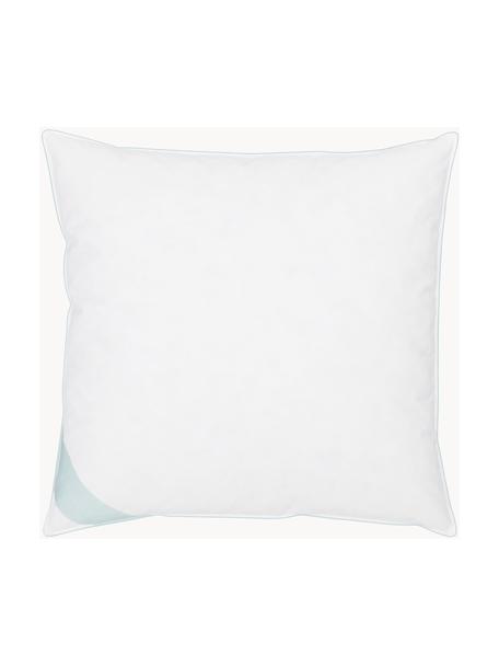 Poduszka z pierza Comfort, twarda, Twarda, S 80 x D 80 cm