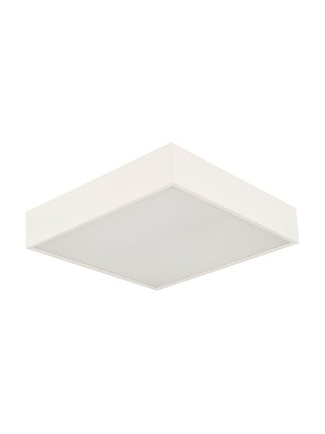 Plafón pequeño LED Zeus, Estructura: aluminio recubierto, Blanco crudo, An 30 x Al 6 cm