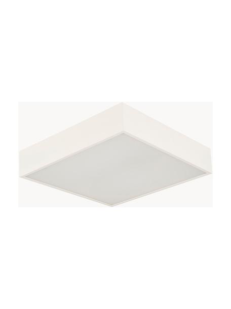 Kleine LED Bad-Deckenleuchte Zeus, Gebrochenes Weiß, B 30 x H 6 cm