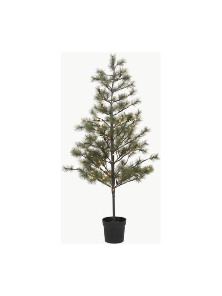 Sapin de Noël LED Peuce, Vert foncé, haut. 180 cm