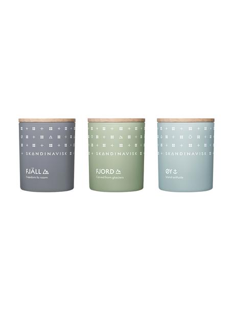 Velas perfumadas Explore, 3 uds., Recipiente: vidrio, Caja: cartón, Fragancias diferentes, Cada uno Ø 5 x Al 7 cm