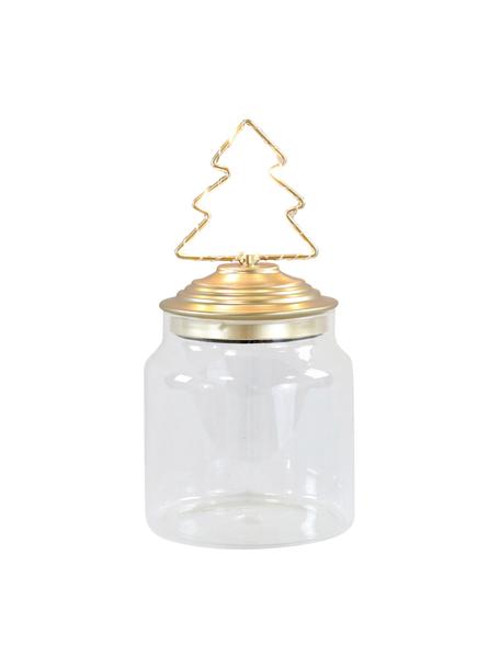 LED Aufbewahrungsdose Tree, Dose: Glas, Deckel: Metall, beschichtet, Transparent, Goldfarben, Ø 11 x H 15 cm
