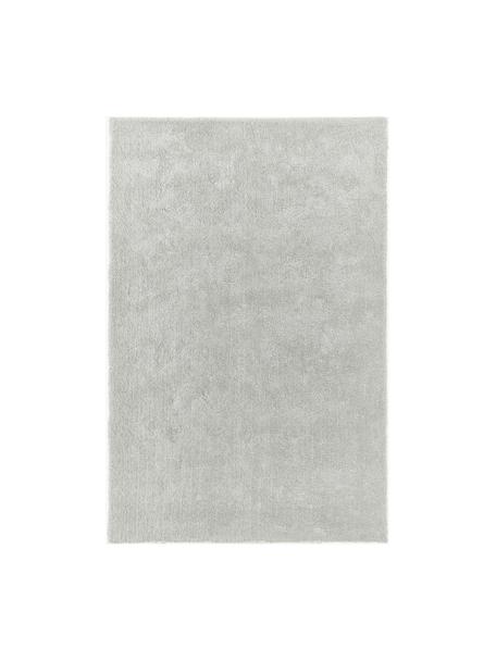 Flauschiger Hochflor-Teppich Leighton, Mikrofaser (100 % Polyester, GRS-zertifiziert), Hellgrau, B 200 x L 300 cm (Größe L)