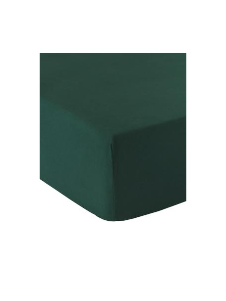 Spannbettlaken Biba, Flanell, Webart: Flanell Flanell ist ein k, Waldgrün, B 90 x L 200 cm, H 25 cm