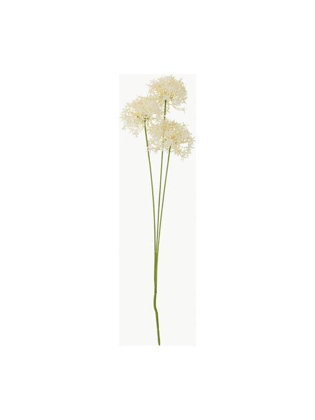 Fleur artificielle Allium, Plastique, métal, Blanc crème, vert, long. 64 cm