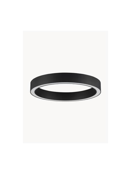 Grand plafonnier LED à intensité variable Sting, tailles variées, Noir, Ø 60 x haut. 8 cm