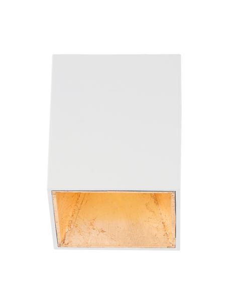 Stropná bodová LED lampa Marty, Biela, odtiene zlatej, Š 10 x V 12 cm