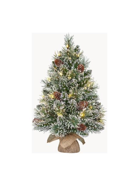 Sapin de Noël LED avec neige artificiel Vandans, tailles variées, Plastique, LED, Ø 36 x haut. 60 cm