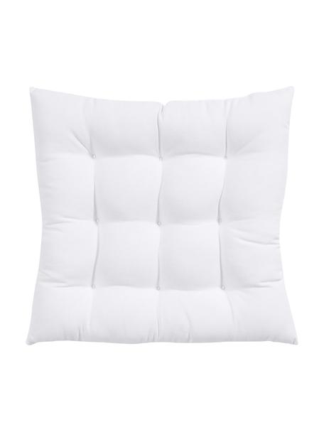 Cuscino sedia in cotone bianco Ava, Rivestimento: 100% cotone, Bianco, Larg. 40 x Lung. 40 cm