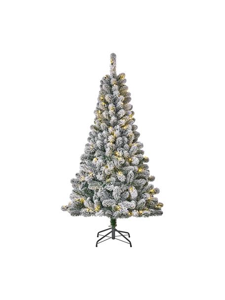 Sapin de Noël LED Millington, Vert, aspect givré, Ø 86 x haut. 155 cm