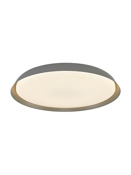 LED-Deckenleuchte Piso in Grau, Lampenschirm: Metall, beschichtet, Grau, Ø 37 x H 5 cm