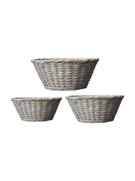 Ovales Pflanzschalen-Set Minna, 3-tlg., Beige, Set mit verschiedenen Größen