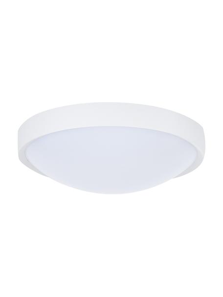 Plafoniera a LED Altus, Paralume: materiale sintetico, Disco diffusore: materiale sintetico, Bianco, Ø 30 x Alt. 9 cm