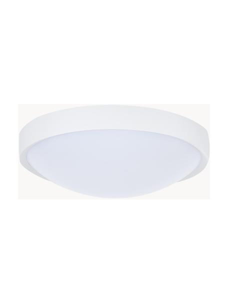 Plafón pequeño LED Altus, Pantalla: plástico, Blanco, Ø 30 x Al 9 cm