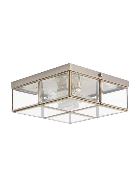 Plafón pequeño Ben, Estructura: metal recubierto, Pantalla: vidrio, Latón, transparente, An 26 x Al 10 cm