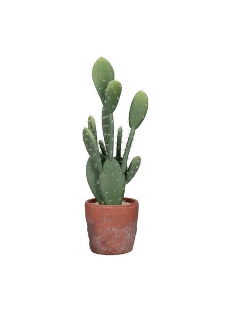 Cactus artificial con maceta Love, Verde, terracota, Ø 13 x Al 46 cm