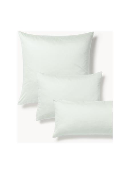 Katoensatijnen kussenhoes Comfort, Weeftechniek: satijn Draaddichtheid 250, Saliegroen, B 65 x L 65 cm