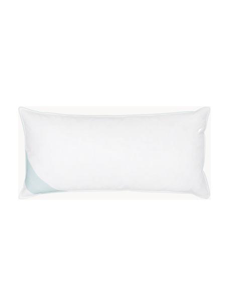 Cuscino duro Comfort, Bianco con fascia di stoffa in raso turchese, Larg. 40 x Lung. 80 cm