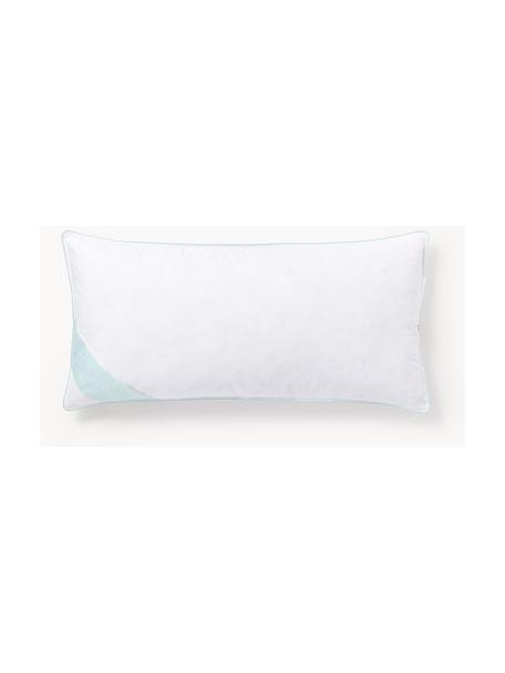 Cuscino duro Comfort, Bianco latte, Larg. 40 x Lung. 80 cm