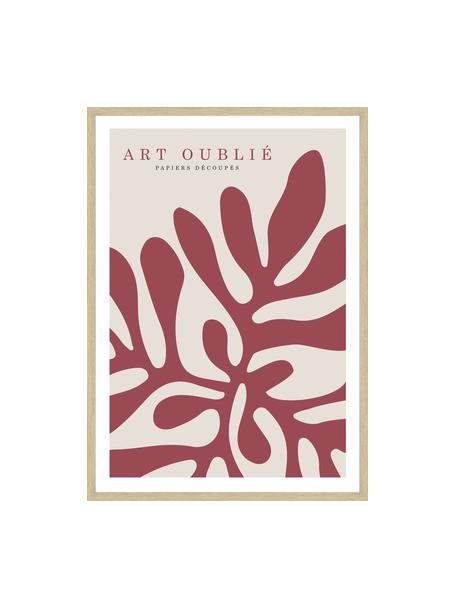 Stampa digitale incorniciata Red Reef, Immagine: stampa digitale su carta, Struttura: legno, pannello di fibra , Corallo rosso, Larg. 32 x Alt. 42 cm