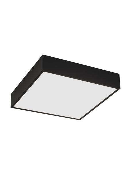 Petit plafonnier noir LED salle de bains Zeus, Noir, larg. 30 x haut. 6 cm