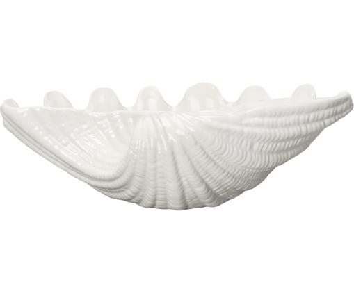 Servierschale Shell aus Dolomit in Weiß in Muschelform, B 34 cm
