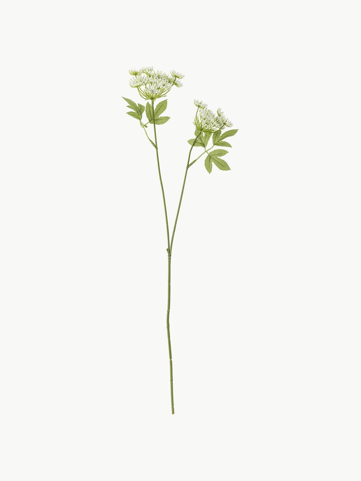 Kunstblume Fenchel