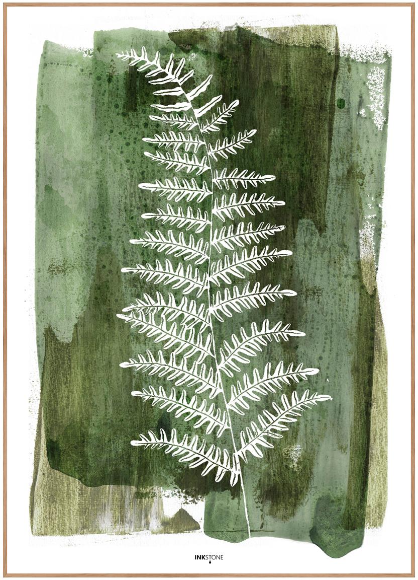 Gerahmter Digitaldruck White Fern, Bild: Digitaldruck auf Papier (, Rahmen: Hochdichte Holzfaserplatt, Grün, Weiß, 30 x 40 cm