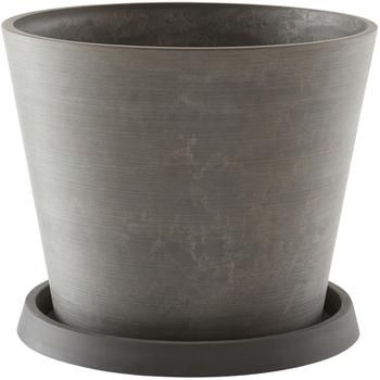 Portavaso Malcolm