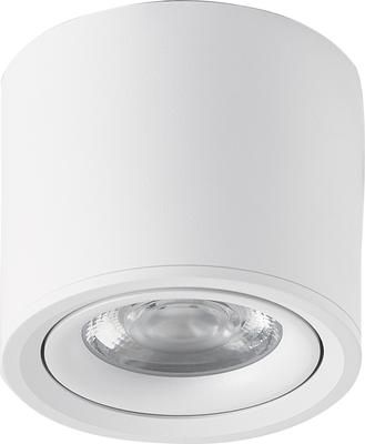 Stropná bodová LED lampa Alivia