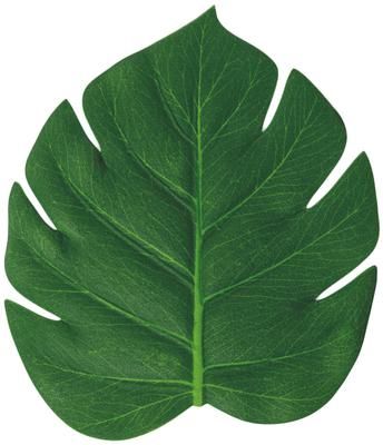 Posavasos de plástico Jungle, 6 uds.