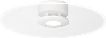 Stmievateľná stropná LED lampa Anemone