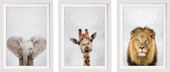 Set de impresiones digitales enmarcadas Wild Animals, 3 pzas.